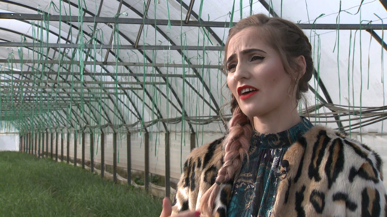 În grădina Danei: Despre carpenii columnari, cultura de ceapă şi Wild Petunia (@TVR1)