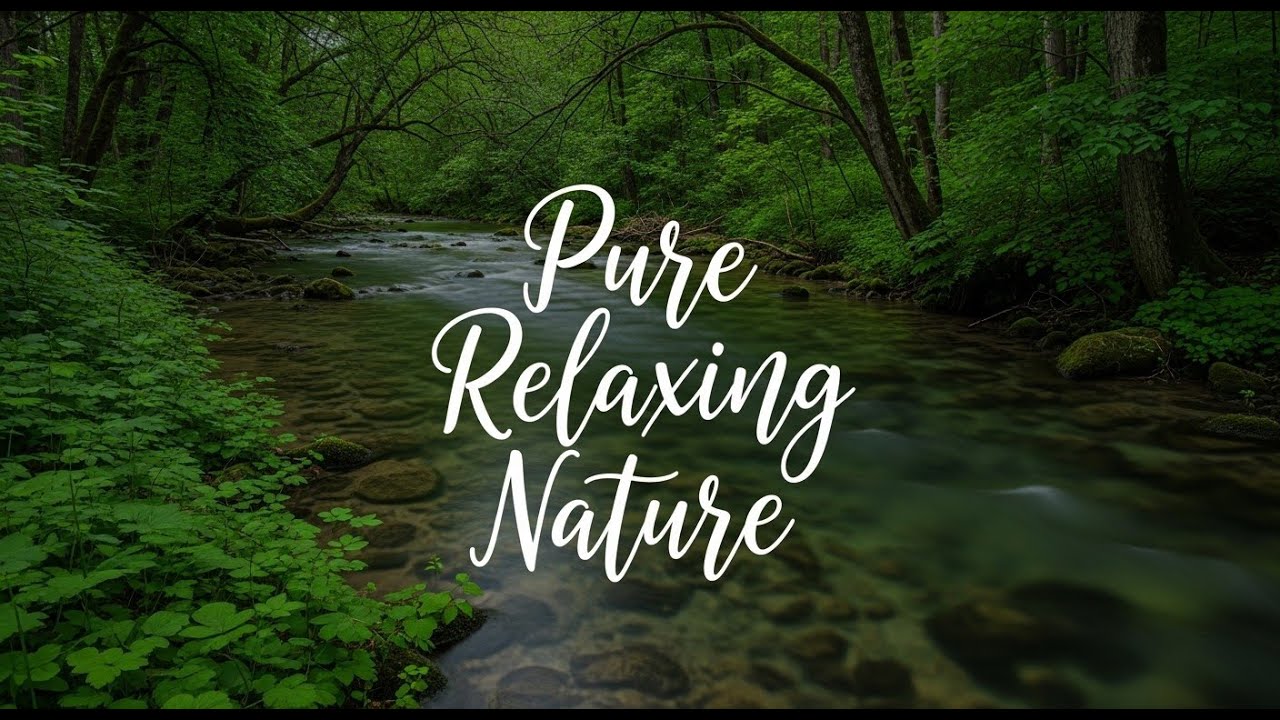 Sleep Deep Without Waking River Sounds 12 Hours Therapy