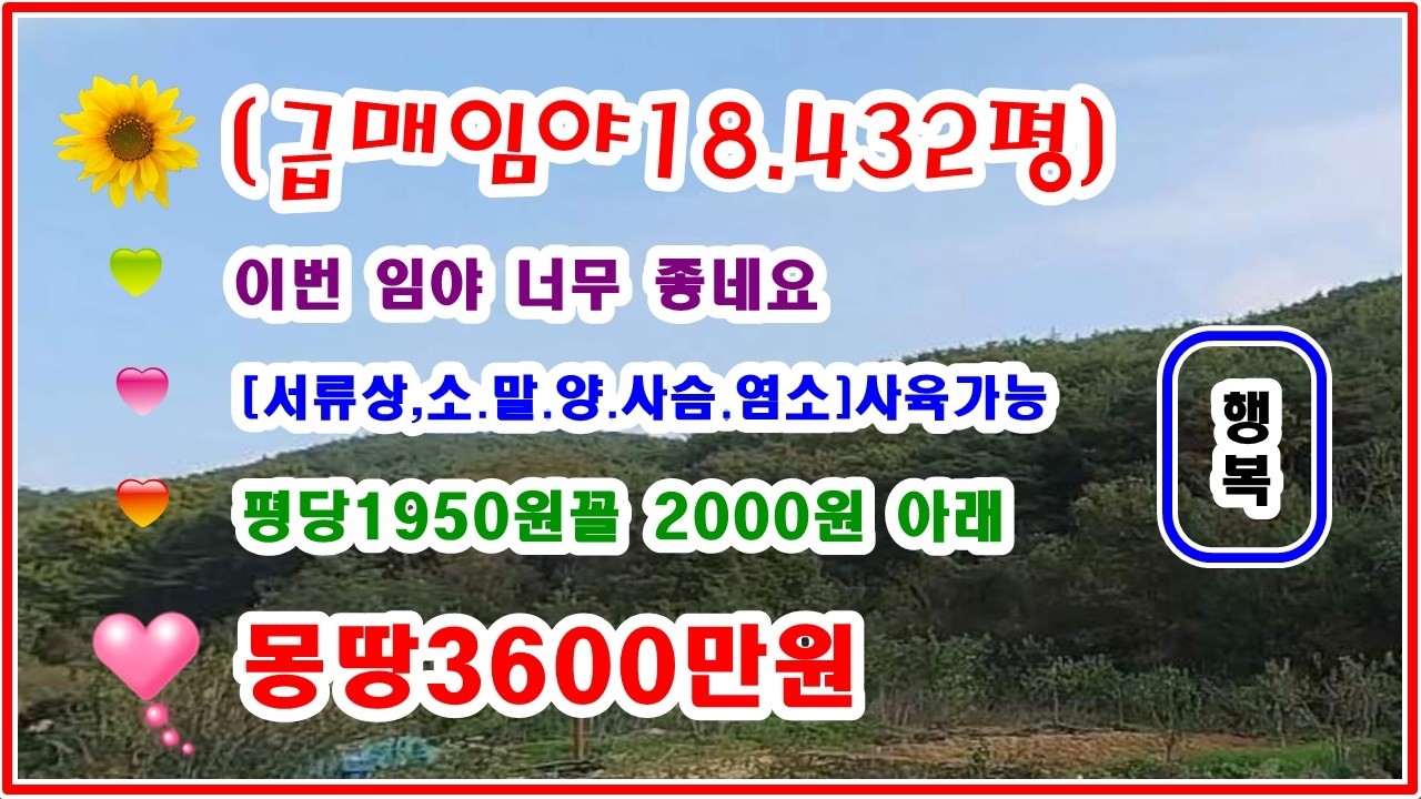 [초 급매] 임야가 평당1950원꼴 18432평  산주께서 고령이라 매각하는 물건 염소사육가능 몽땅3600만원