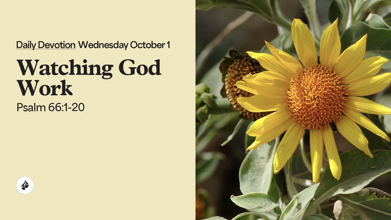 Watching God Work – Daily Devotional