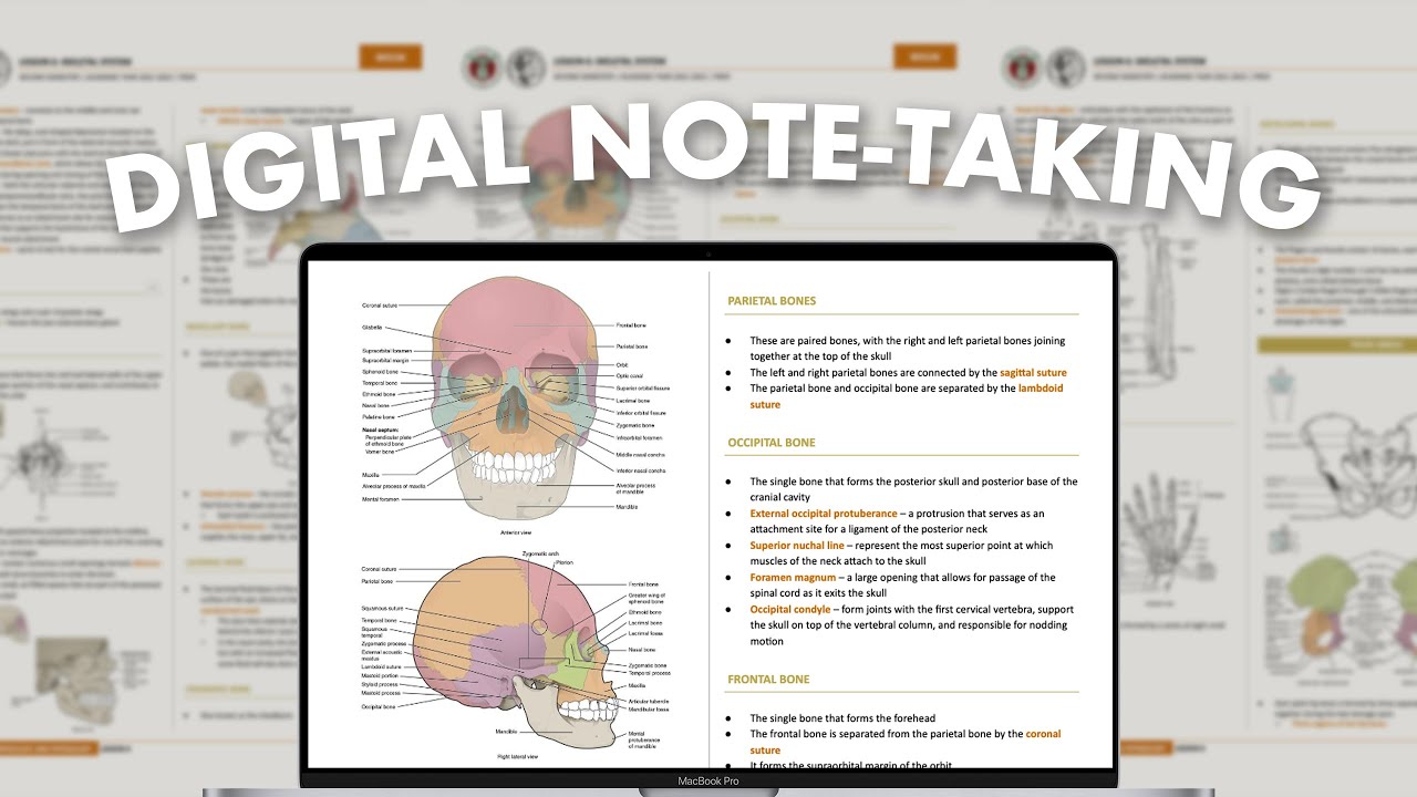 digital note-taking system pt. 1 ✍🏻 how i take neat & effective notes on google docs