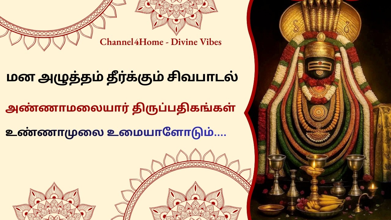 மனஅழுத்தத்தை 5 நிமிடத்தில் தீர்க்கும் சிவபாடல் ரகசியம் அண்ணாமலையார் திருப்பதிகங்கள்|திருவண்ணாமலை
