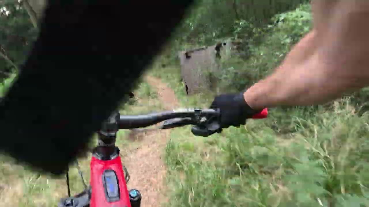 Wollongong mtb straya day 2026 at Bulli Zoo/Loo/Cab 