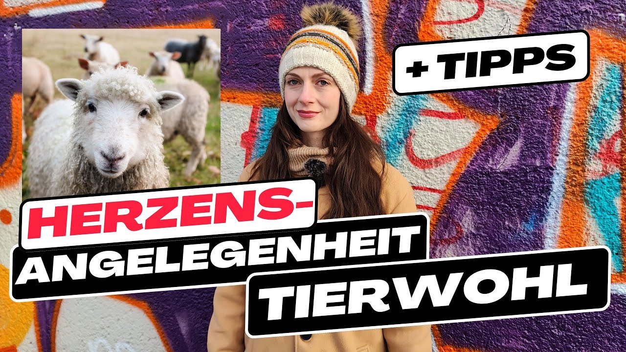 Tipps für Anfänger der carnivoren Ernährung, Tierwohl und Bewegung