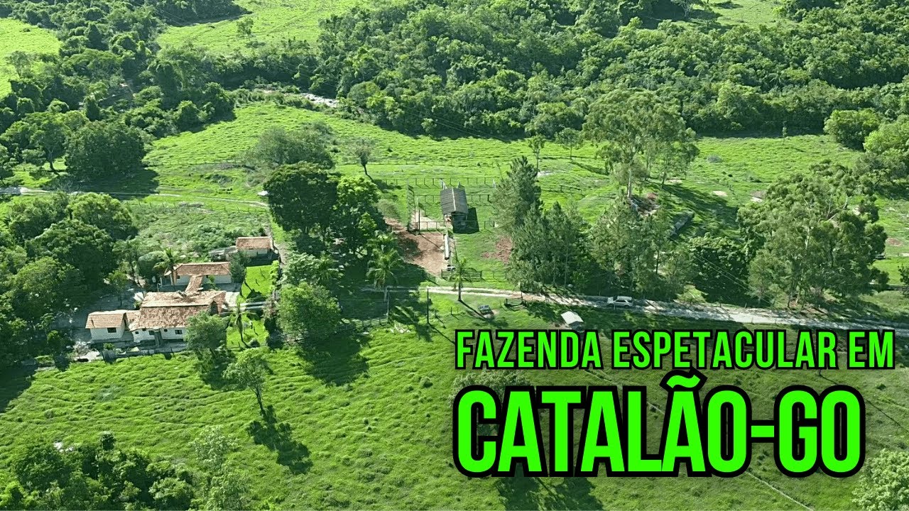FAZENDA A VENDA EM CATALÃO-GO, TERRAS FRESCAS PARA PECUÁRIA INTELIGENTE