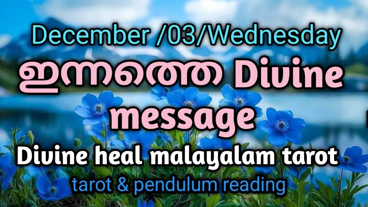 ഡിസംബർ 3 ബുധൻ✨🌞🌹  നിങ്ങൾക്കുള്ള ഇന്നത്തെ  ഗൈഡൻസ് 🌞✨🌹#Divineheal malayalam tarotreading ✨🌞🌹