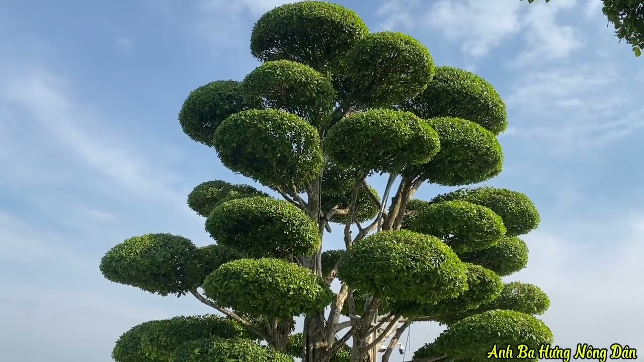 Ba bố con đi thăm Đức mẹ núi cúi Định quán -Đồng nai.