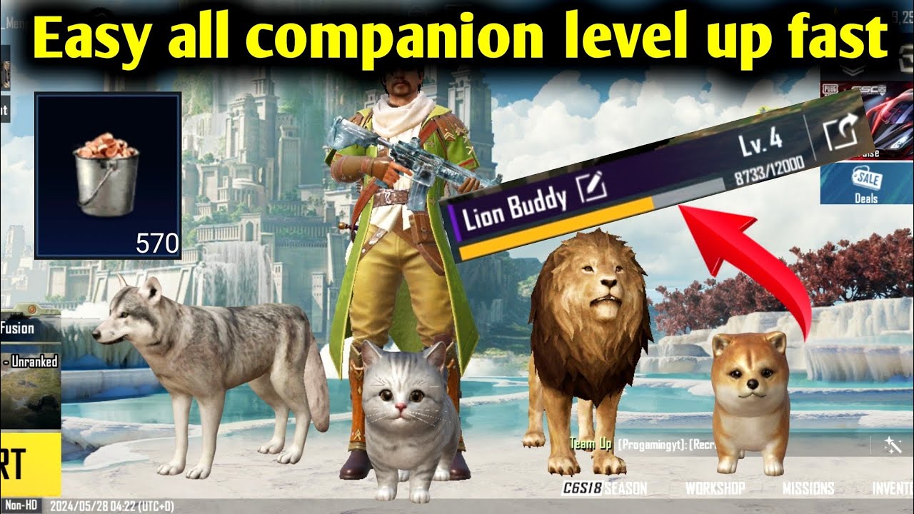 how to bgmi Easy all companion level up In Bgmi | How To Complete Best Companion level up pubg new