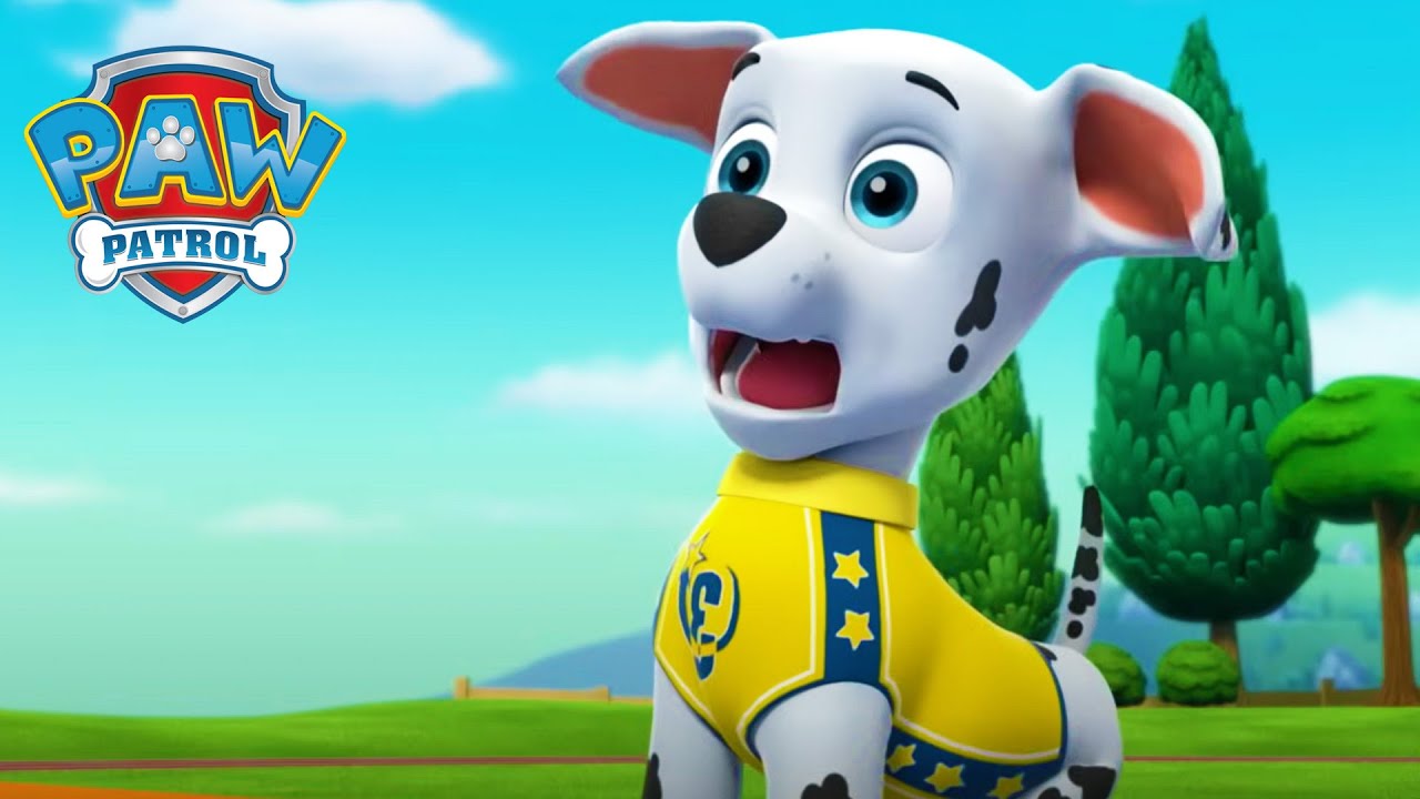 Překvapení pro Marshalla! - Tlapková Patrola PAW Patrol - pohádky pro děti