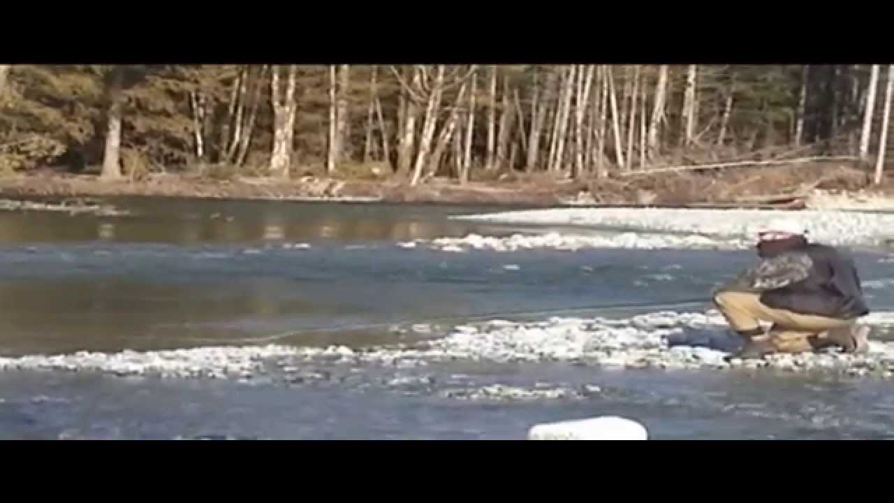 Harrison & Fraser River Salmon Fishing