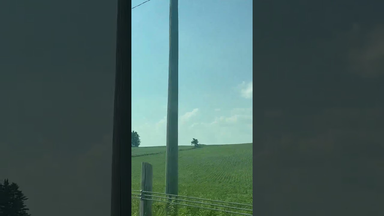 #farm