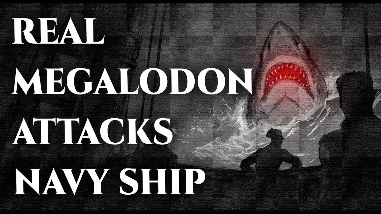 Navy Research Crew Encounters a Real Megalodon in the Bermuda Triangle