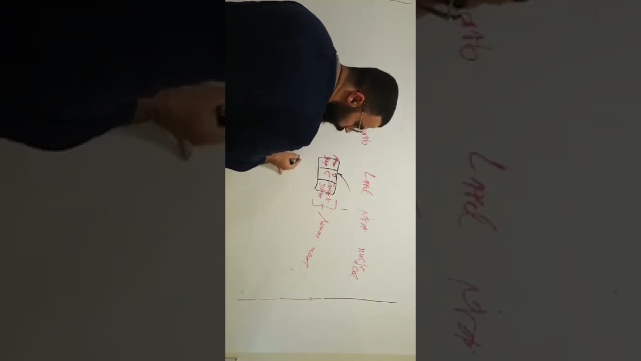 macromolecules | part 2 |