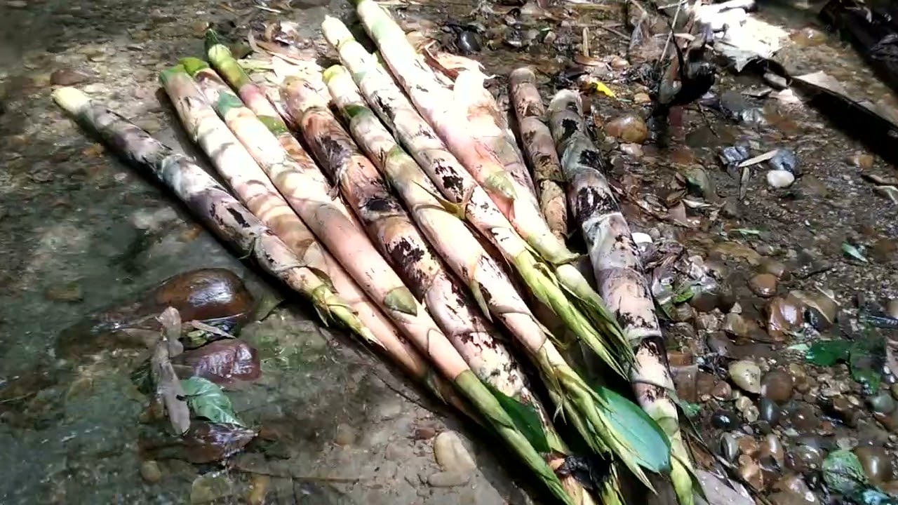 Bamboo shoot, local masala.