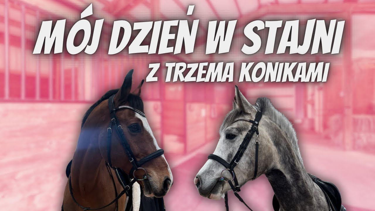 MÓJ DZIEŃ W STAJNI Z TRZEMA KOŃMI - JAŚMIN UCIEKŁ Z PADOKU 🤨