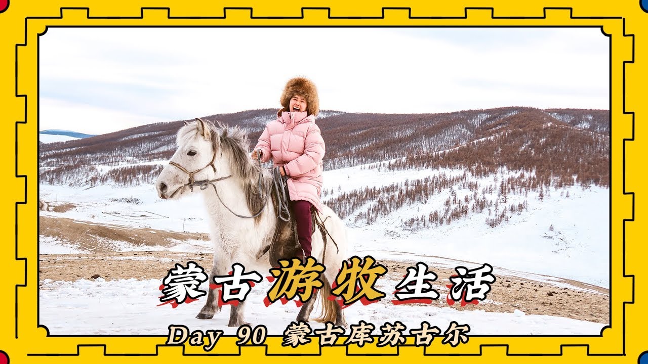 【旅居Day90】劈柴喂马放羊，超治愈的蒙古游牧生活！
