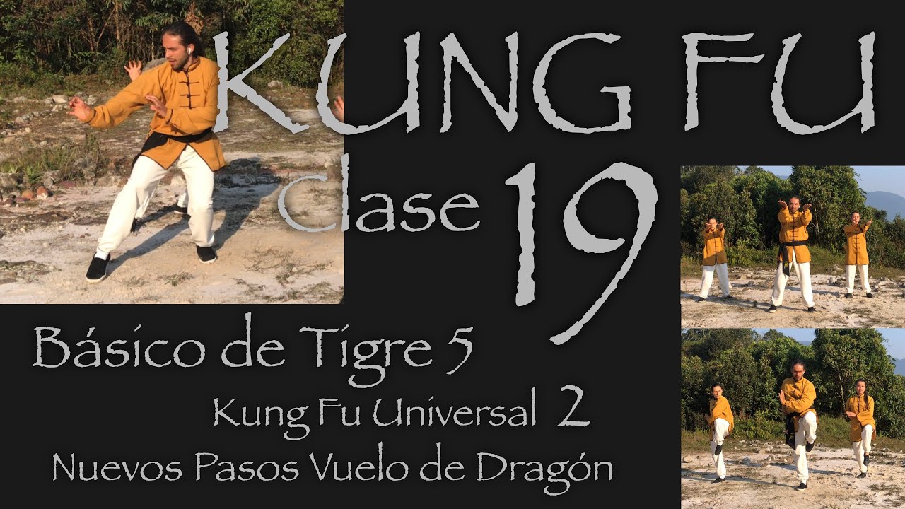 Básico de tigre 5 - Kung fu Universal 2 y vuelo de dragón nuevos pasos 