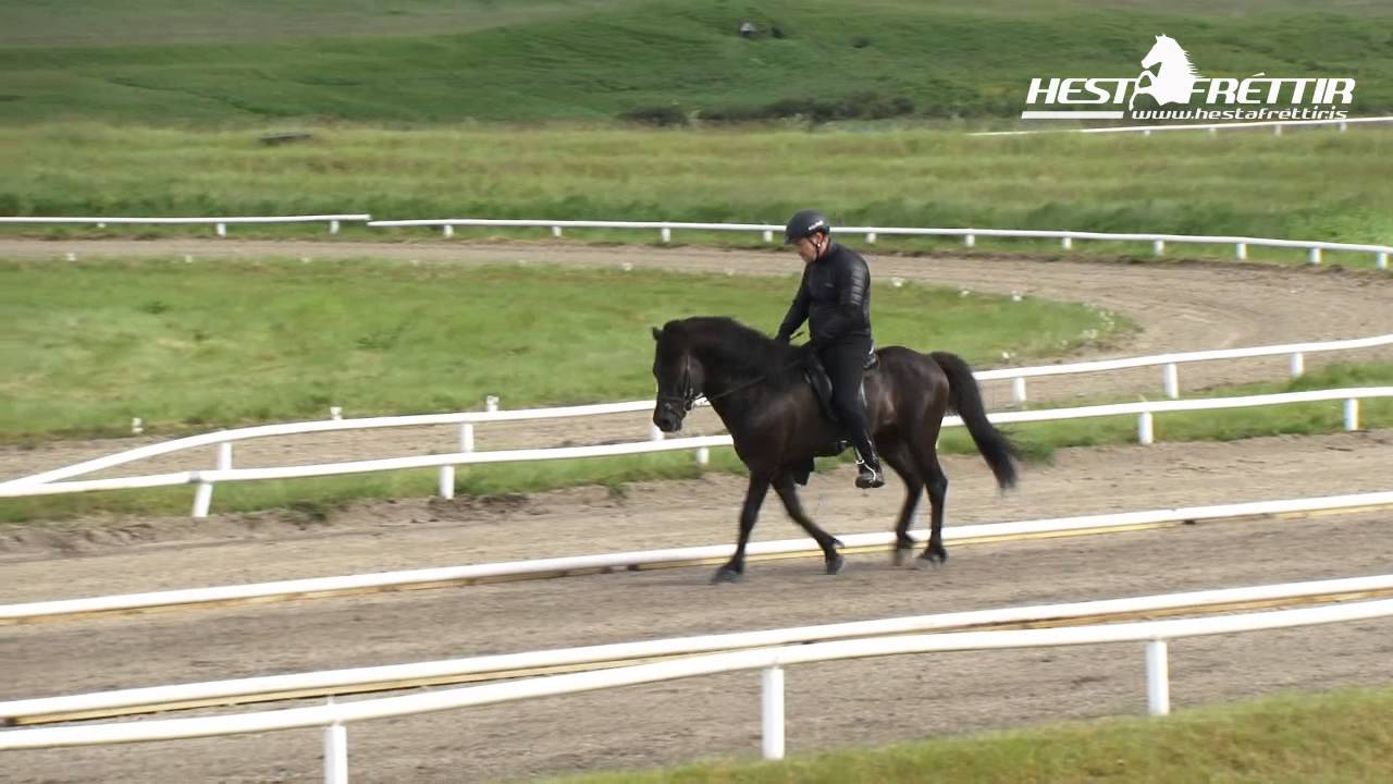 Hrannar frá Flugumyri
