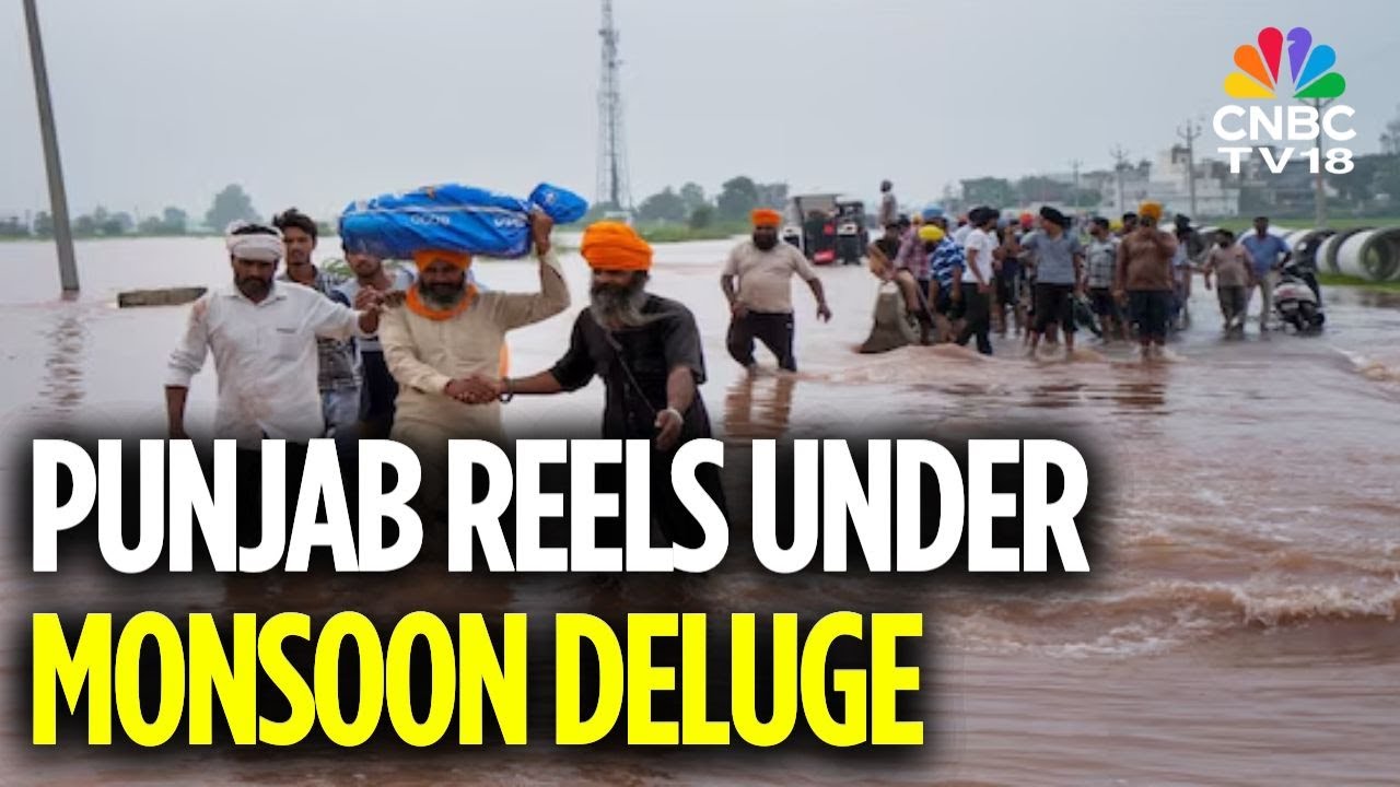 Punjab Flood: 40 Dead In Punjab Deluge, All Districts Flood-Hit