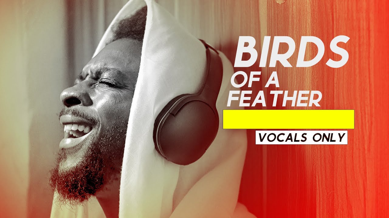 Billie Eilish - Birds Of A Feather [Nasheed Version] / Vocals Only