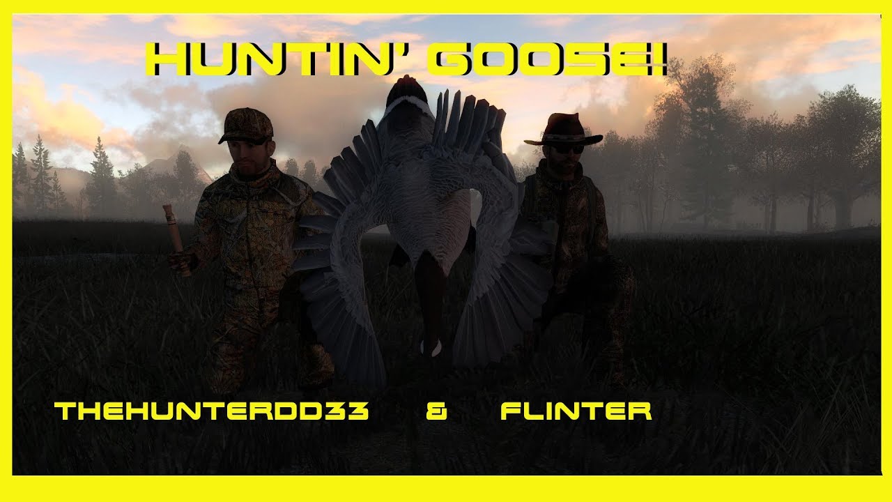 Goose Hunting Live Stream!!  THEHUNTER 2017