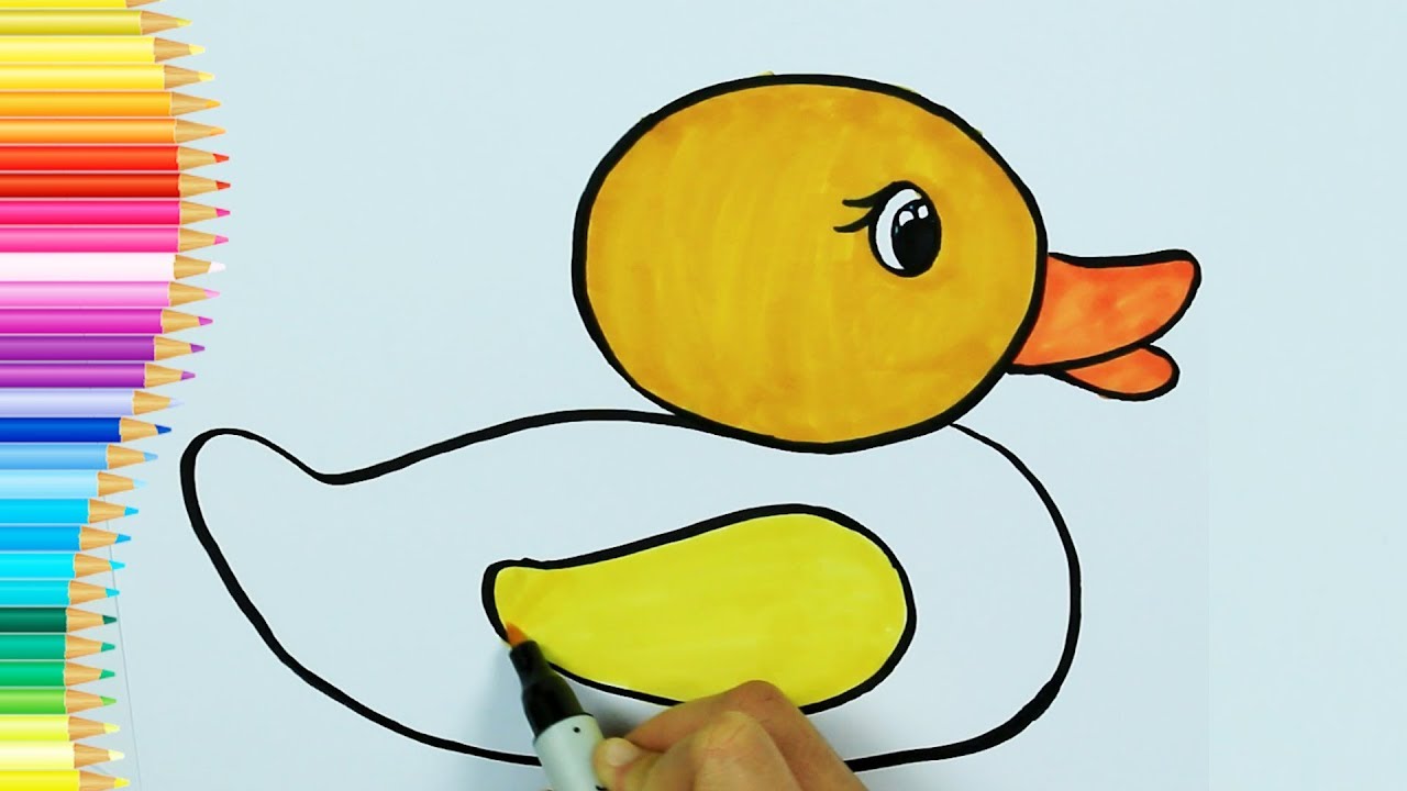 صفحات التلوين💛 | كيفية رسم بطة |تعلم الرسم و التلوين تلفزيون الاطفال - Arabic
