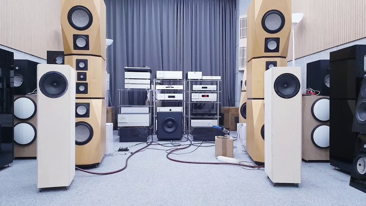 Supravox 165LB 를 채용한  작은 백로드혼