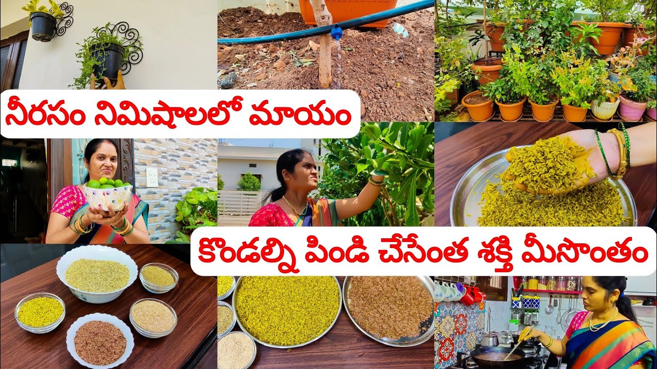 మహిళలందరికీ దివ్యౌషధం ఒంట్లోని నీరసమంతా మటుమాయం 😊 కొండల్ని పిండి చేసేంత శక్తి మీ సొంతం 🤩healthy tips