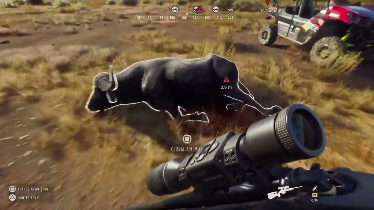 HUNTING STREAM Part 2 Finding A Trophy