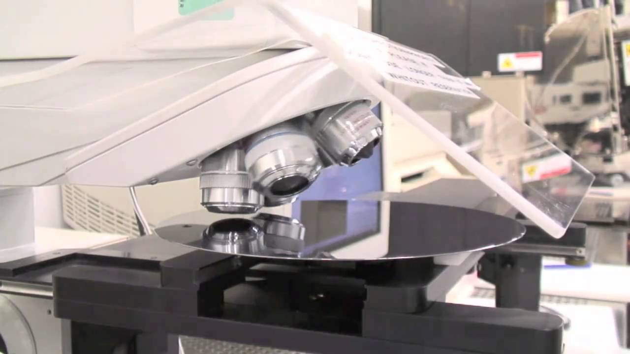 Neurons on chip
