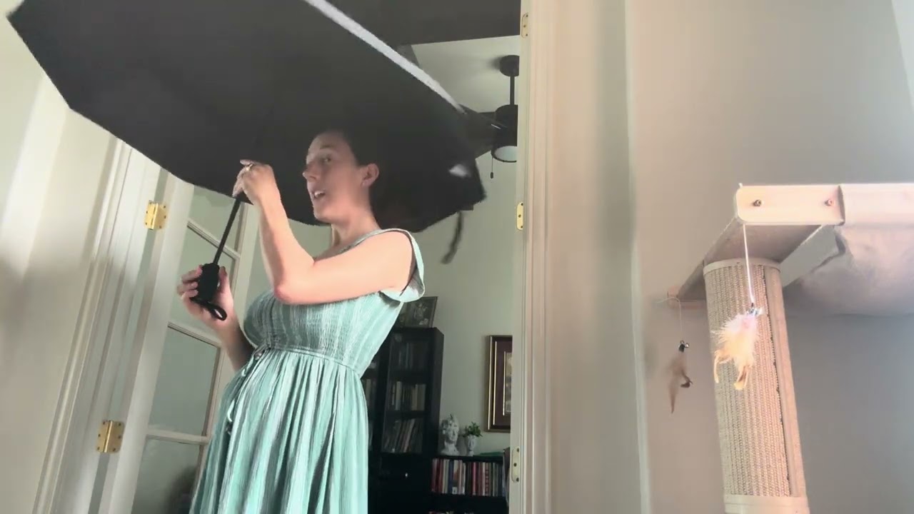 REPEL Windproof Travel Umbrella | Compact, Auto-Fold, Withstands 85MPH Winds 🌧☀️