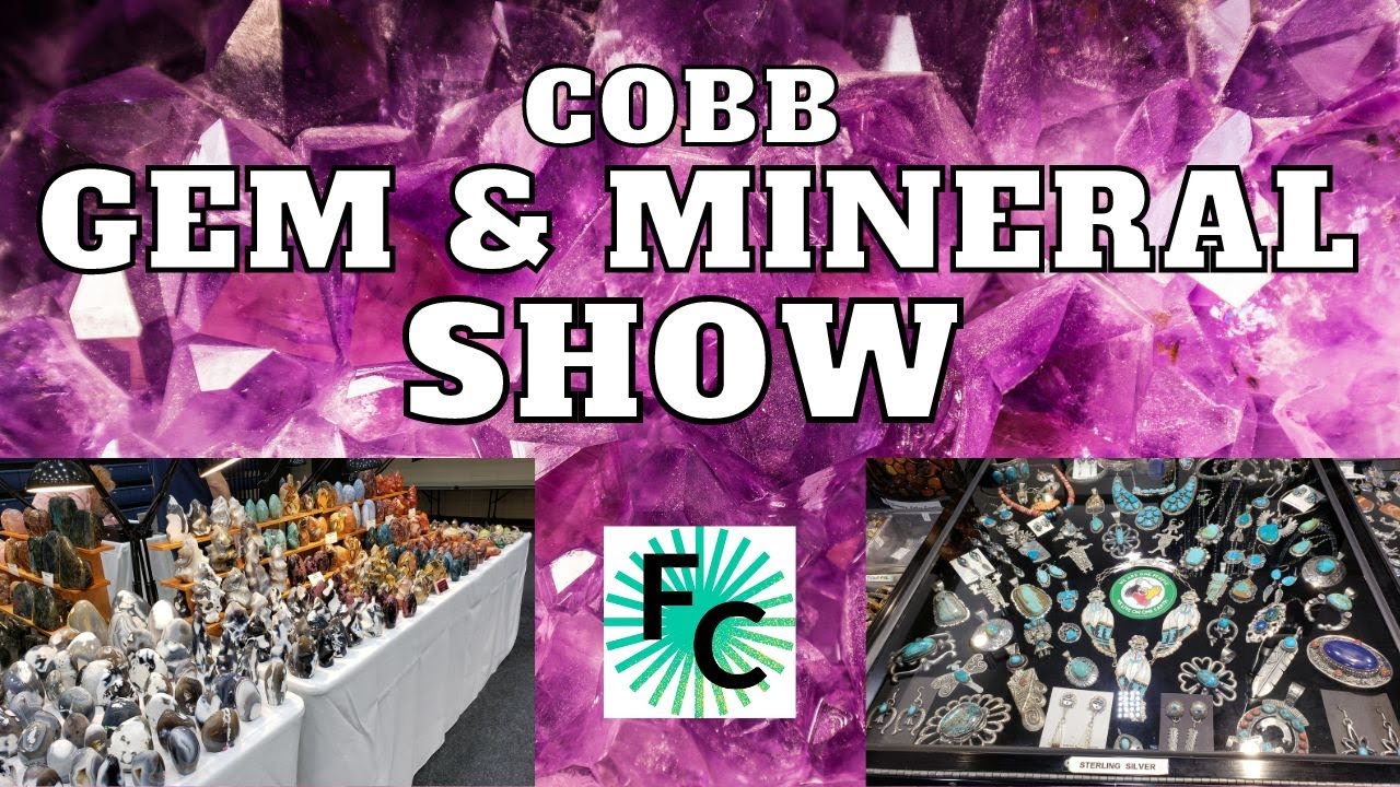 Rock Stone Shopping at The Cobb Gem And Mineral Show Atlanta GA Nov. 2022