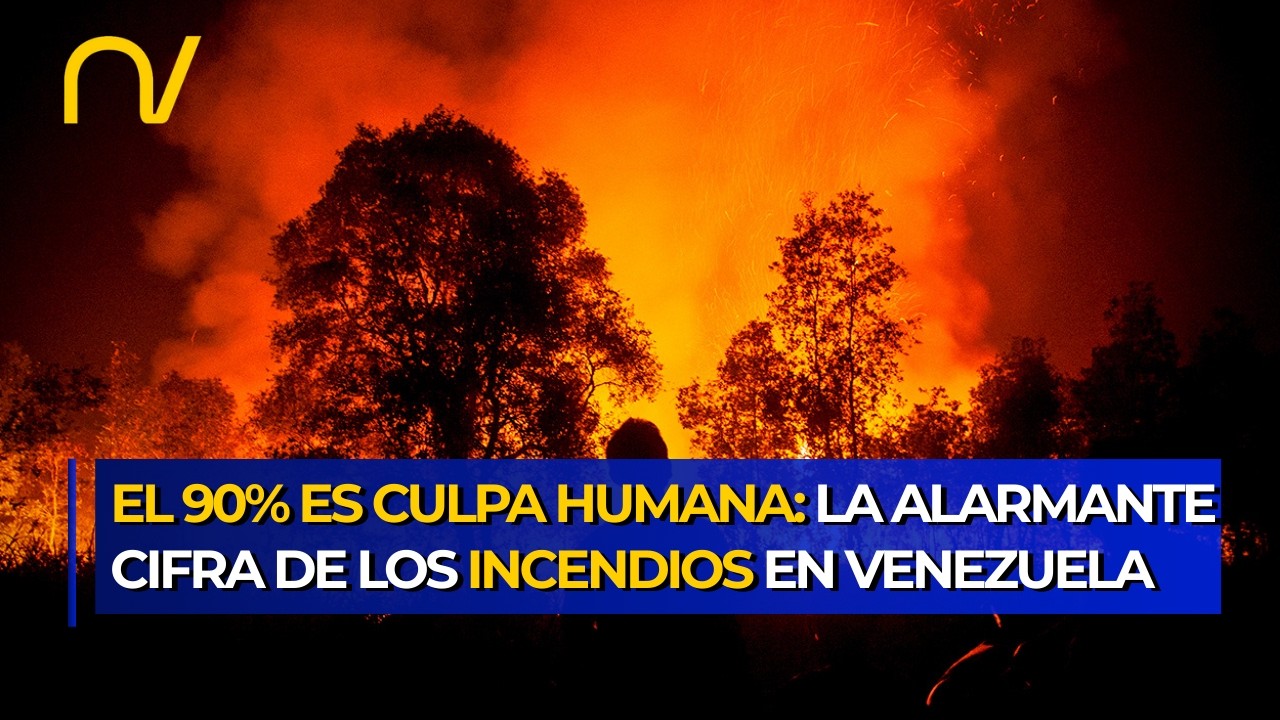 VENEZUELA BAJO FUEGO: ¿Por qué hay tantos incendios forestales?