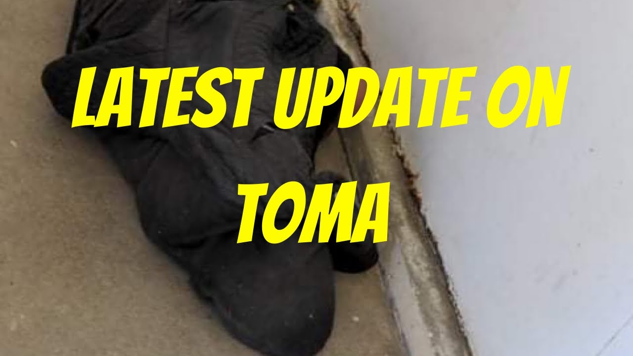 New Update on TOMA