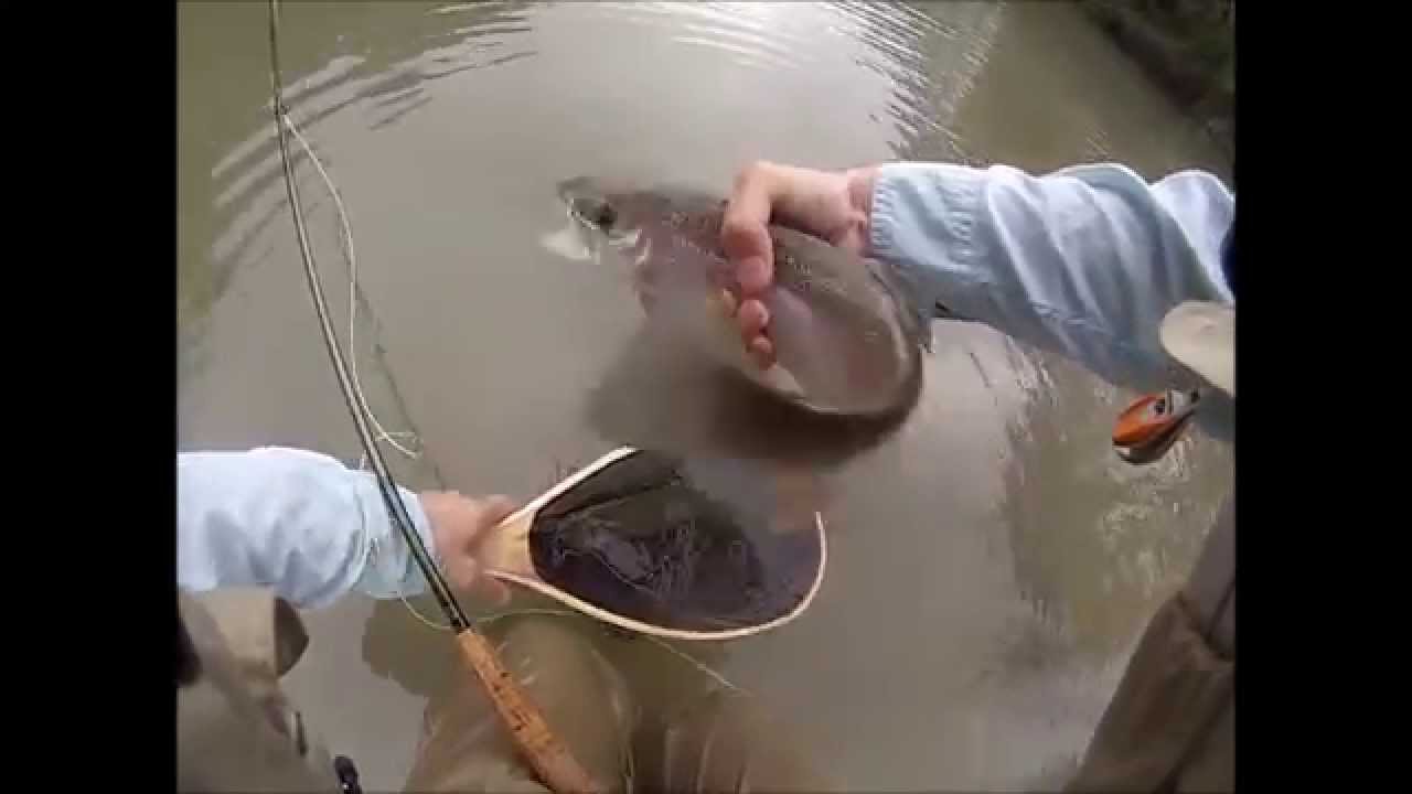 Nick Fly Fishing / Guadalupe River Texas - Rainbow Trout - Apr 2014