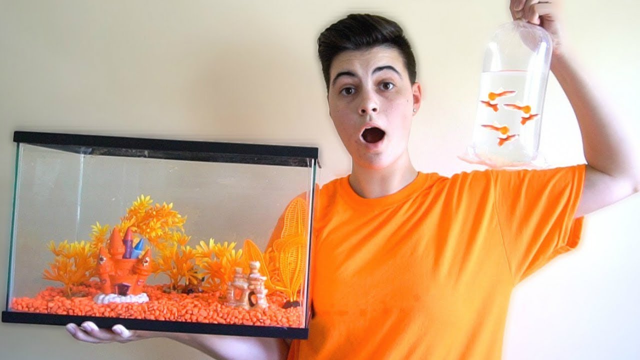ORANGE *ONLY* FISH TANK AQUARIUM W/ ORANGE FISH!