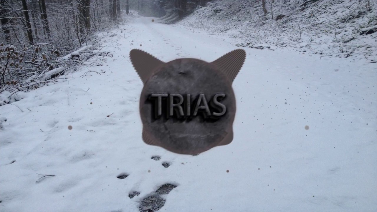 [Hard Trap] Trias - Step Back