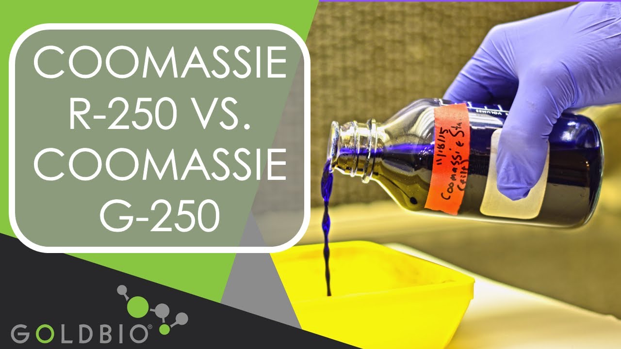 Coomassie R-250 vs Coomassie G-250
