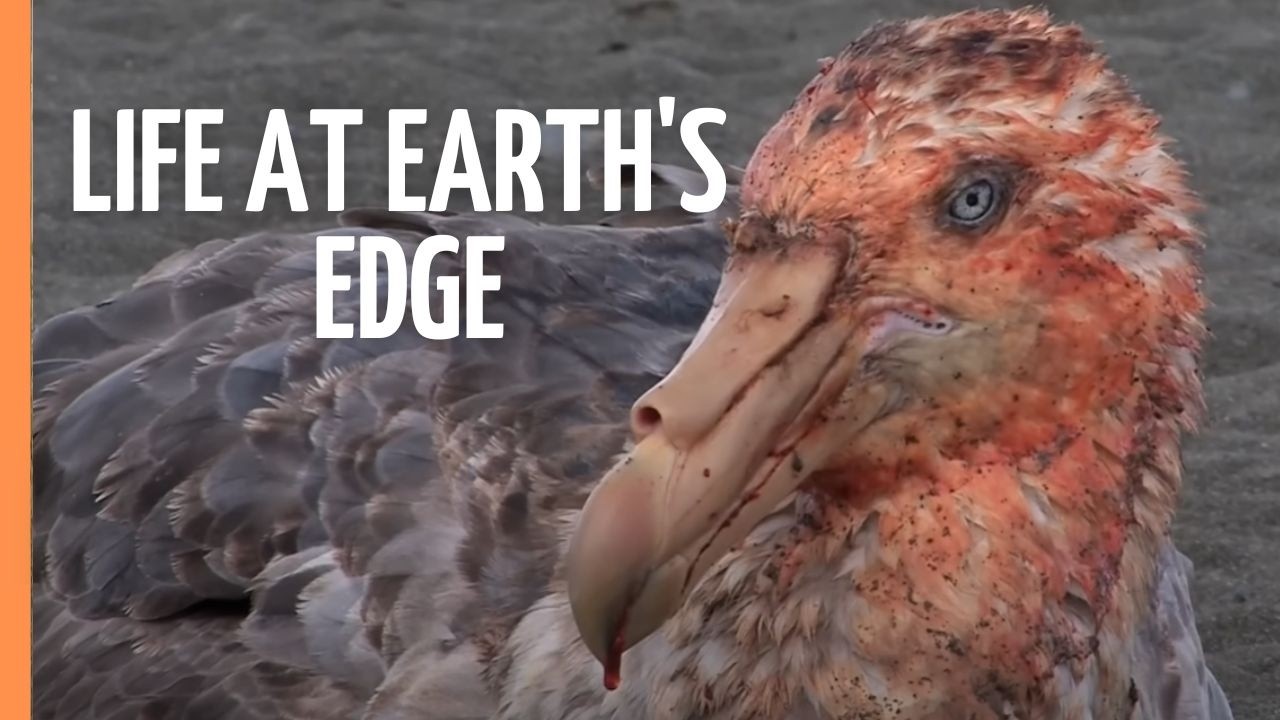 Limits of Life: Surviving Earth's Most Brutal Frontiers | Full Documentary