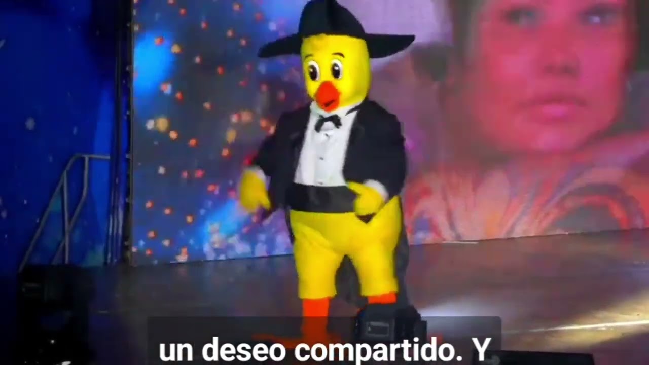 LUCES CAMPERO 2025!!! 