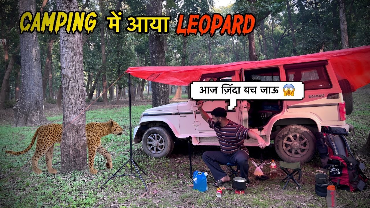 I Spotted a MASSIVE Leopard While Camping!