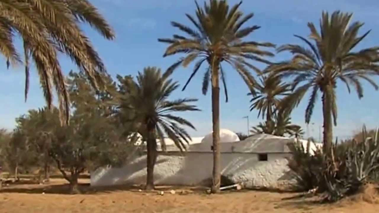 #Tunisie du Sud découverte des paysages et traditions de #Djerba