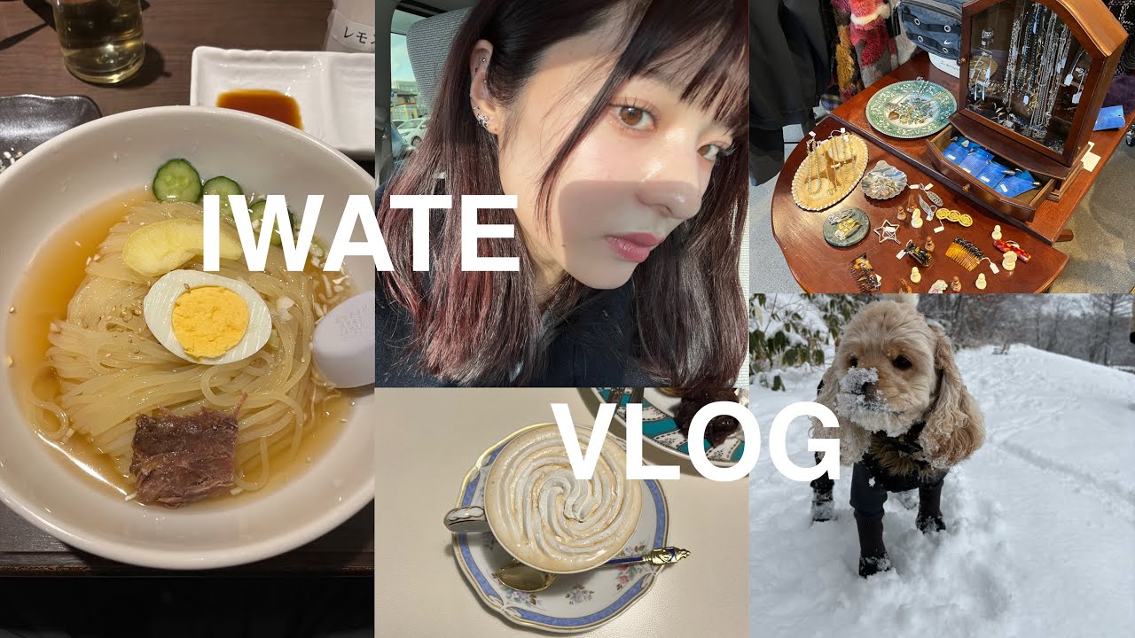 岩手 vlog |食多め年末年始爆食い記録🇯🇵盛岡ローカルフード🍣｜オススメ古着屋🛍️｜喫茶店☕️