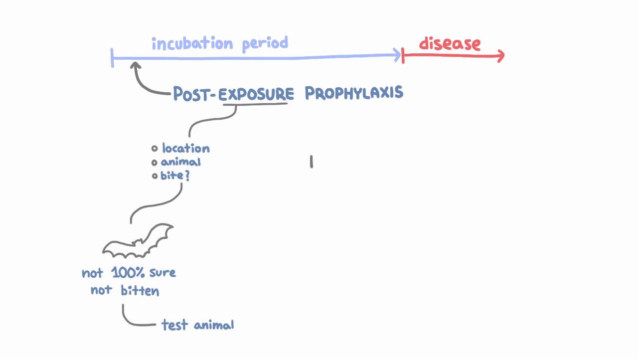 Rabies Prevention - Vaccinating Animals and Post-Exposure Prophylaxis