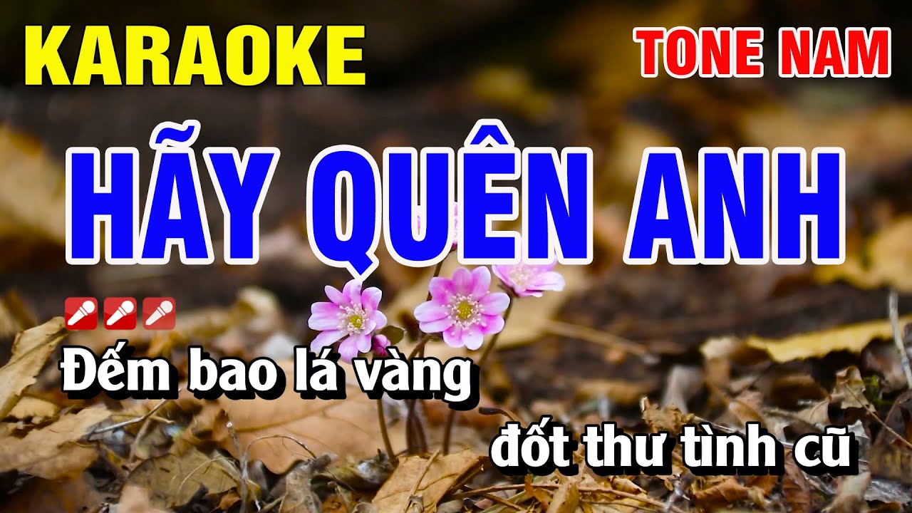 Karaoke Hãy Quên Anh Tone Nam Nhạc Sống | Nguyễn Linh