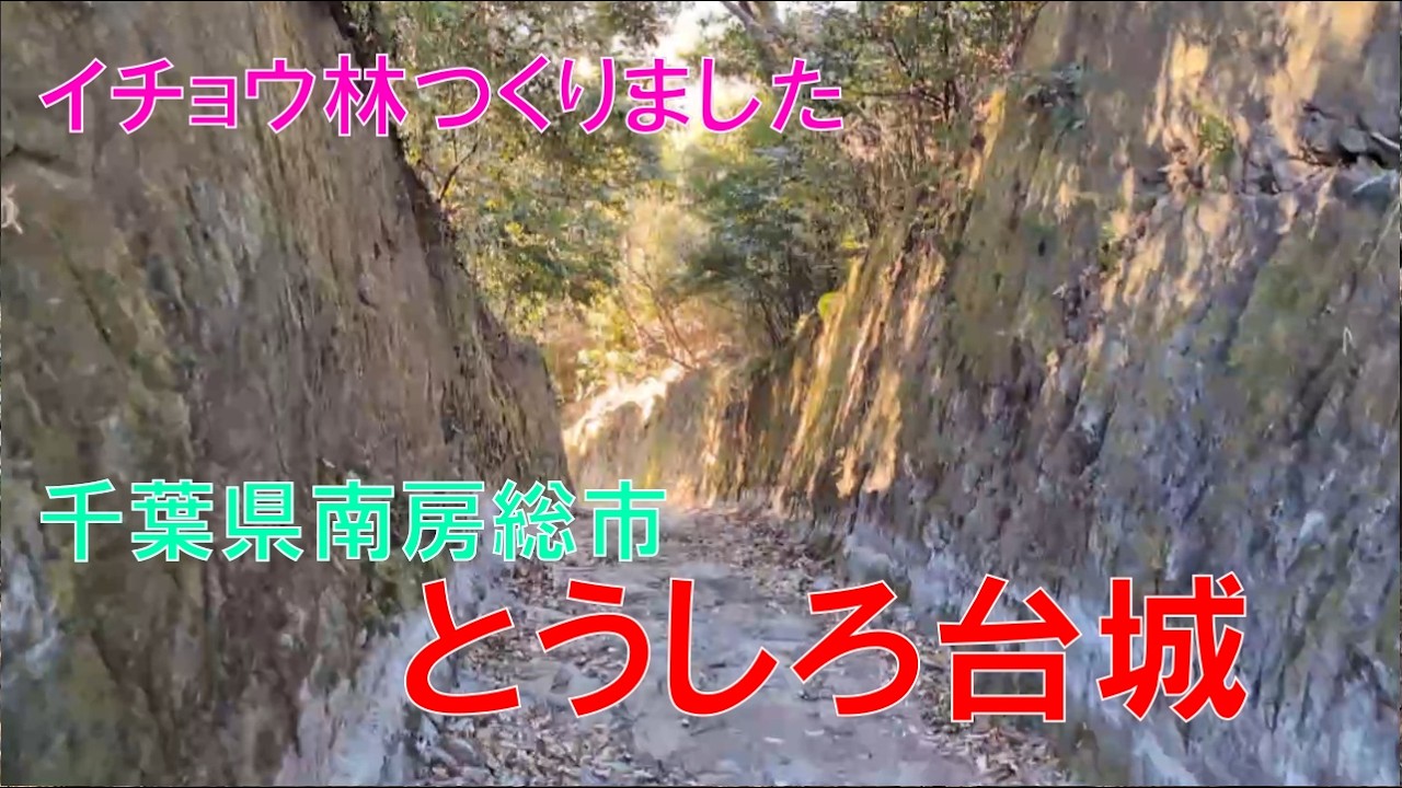 山城しんごの城めぐり　とうしろ台城(千葉県南房総市)
