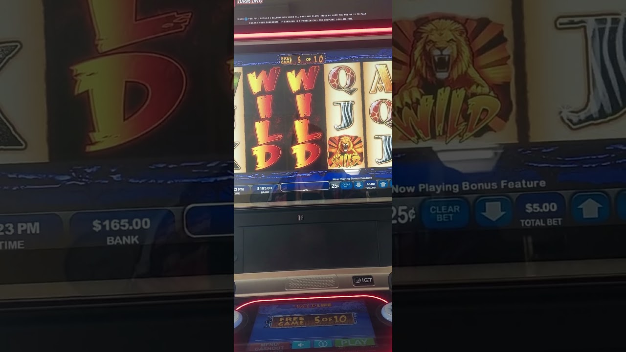 wild life slot max bet jackpot
