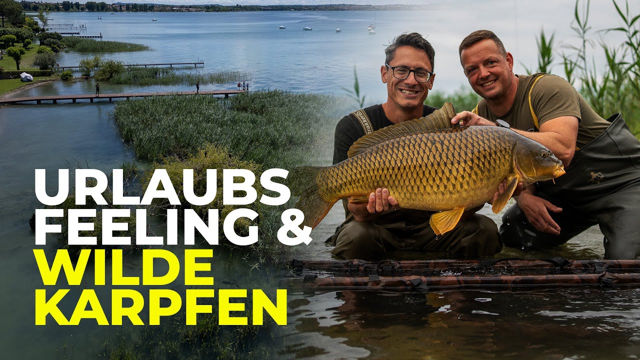Karpfenangeln am Garda See | Lago di Garda | Karpfen Italien  | Karpfenangeln