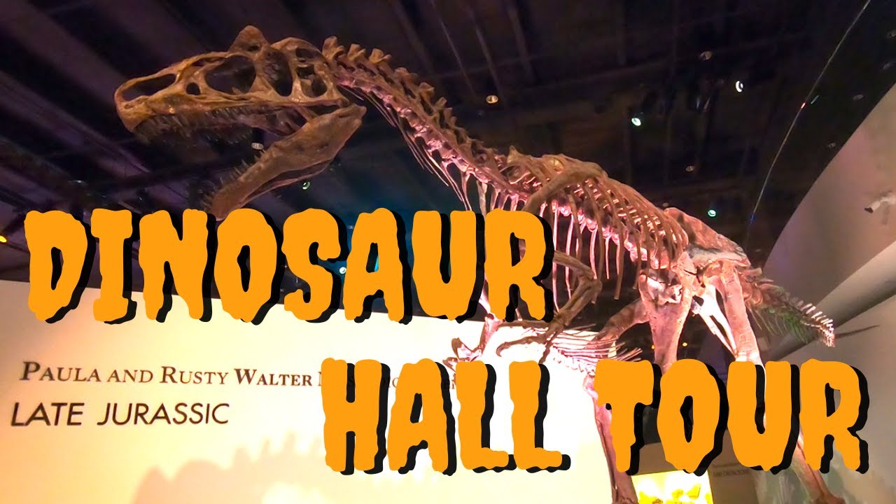 DINOSAUR HALL TOUR / Houston Museum of Natural Science