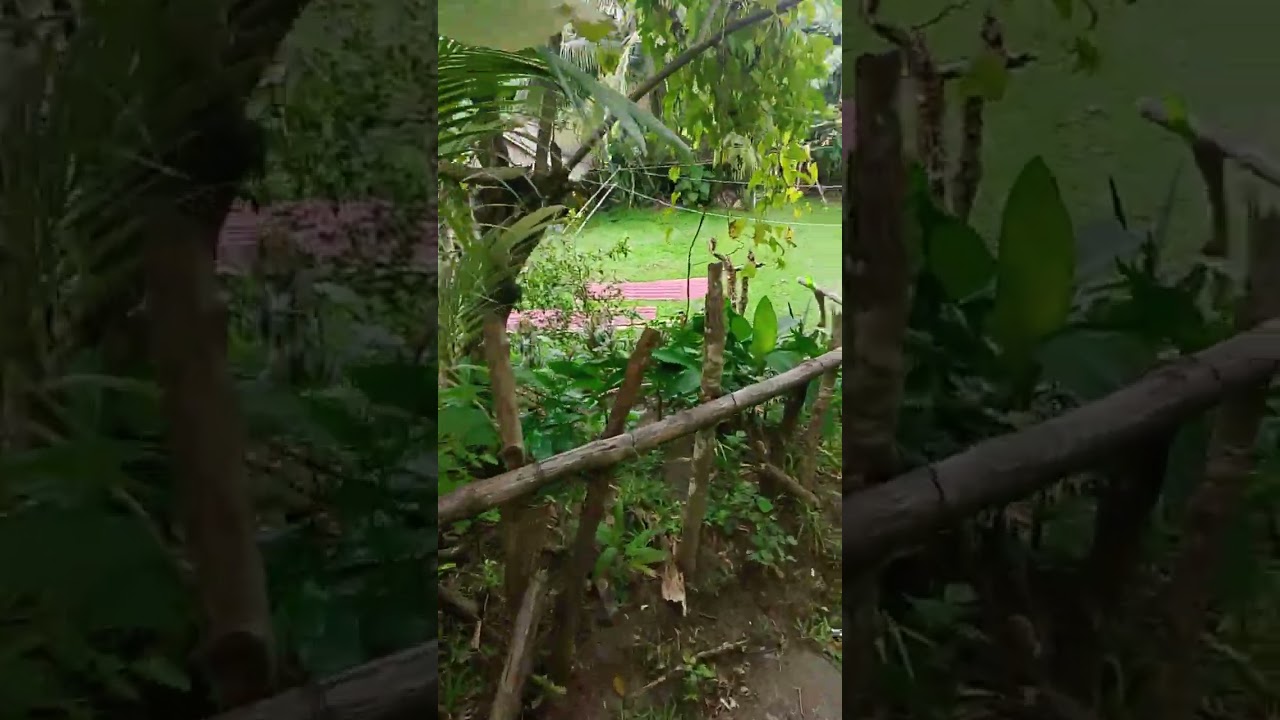 Hirap ng daanan sa Amin pag tag ulan